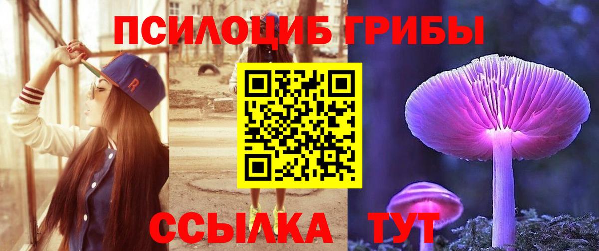 Татарск  Галлюциногенные грибы мицелий  Вход с VPN 